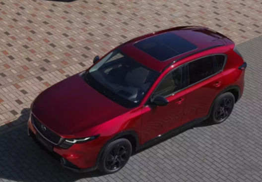 ԴCX-5 